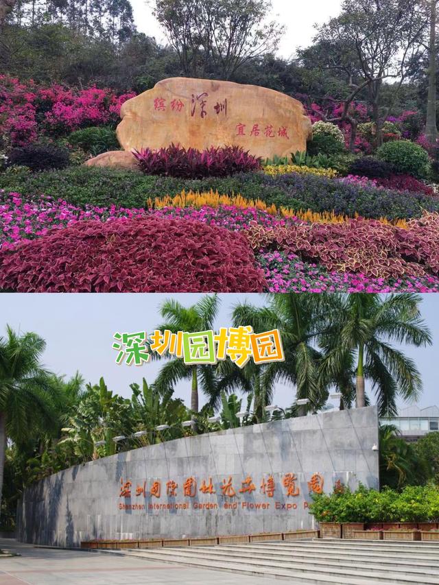 深圳周末好去處 國際園林花卉博覽園，賞花拍照兩不誤