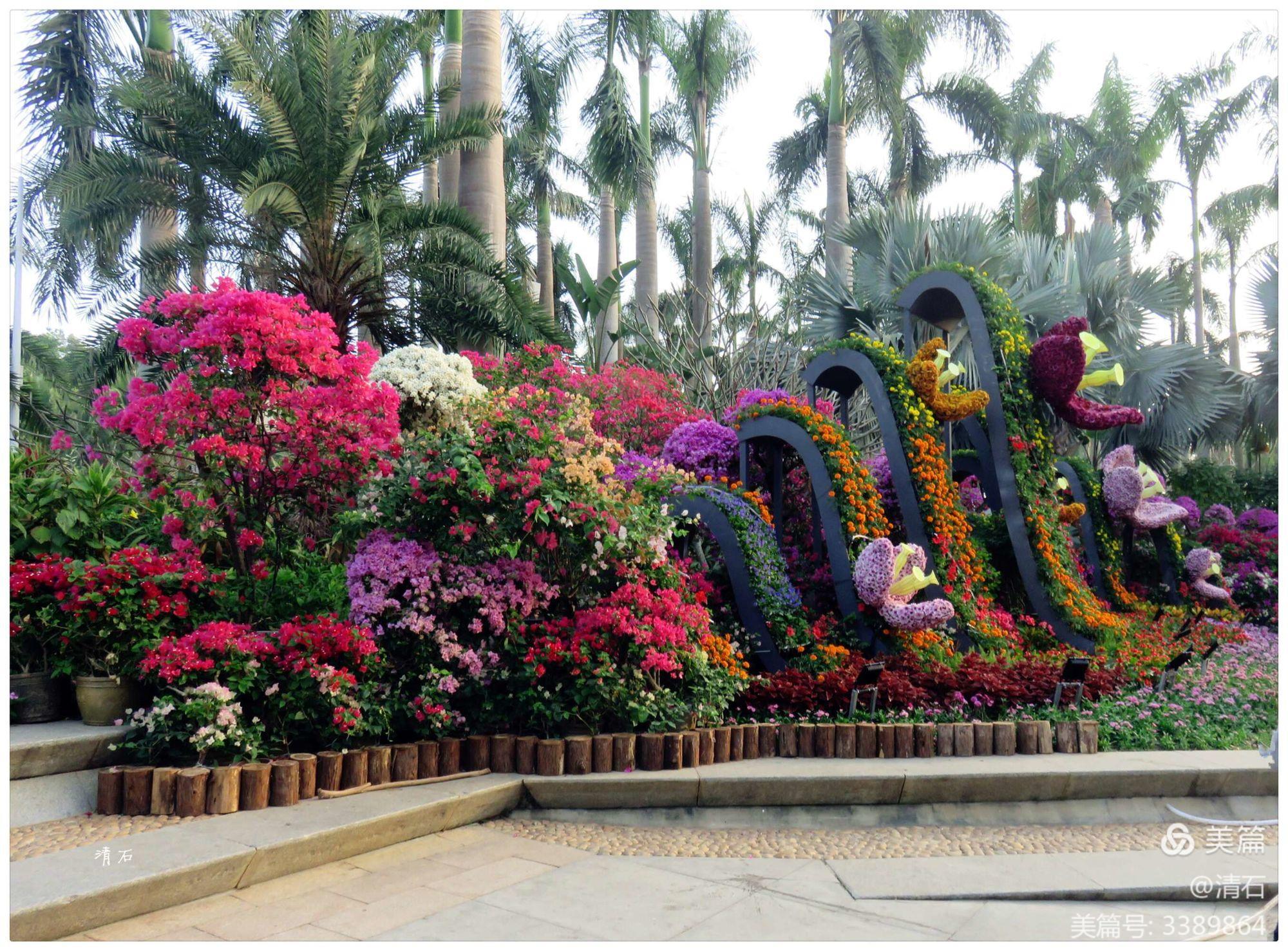 深圳市第20屆簕杜鵑市花展隨拍