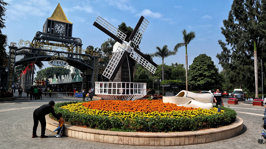 深圳荷蘭花卉小鎮半日游 徜徉歐式風情與花海之間