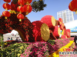 八面來風(fēng) 深圳園博園——國家重點公園中的花卉藝術(shù)殿堂